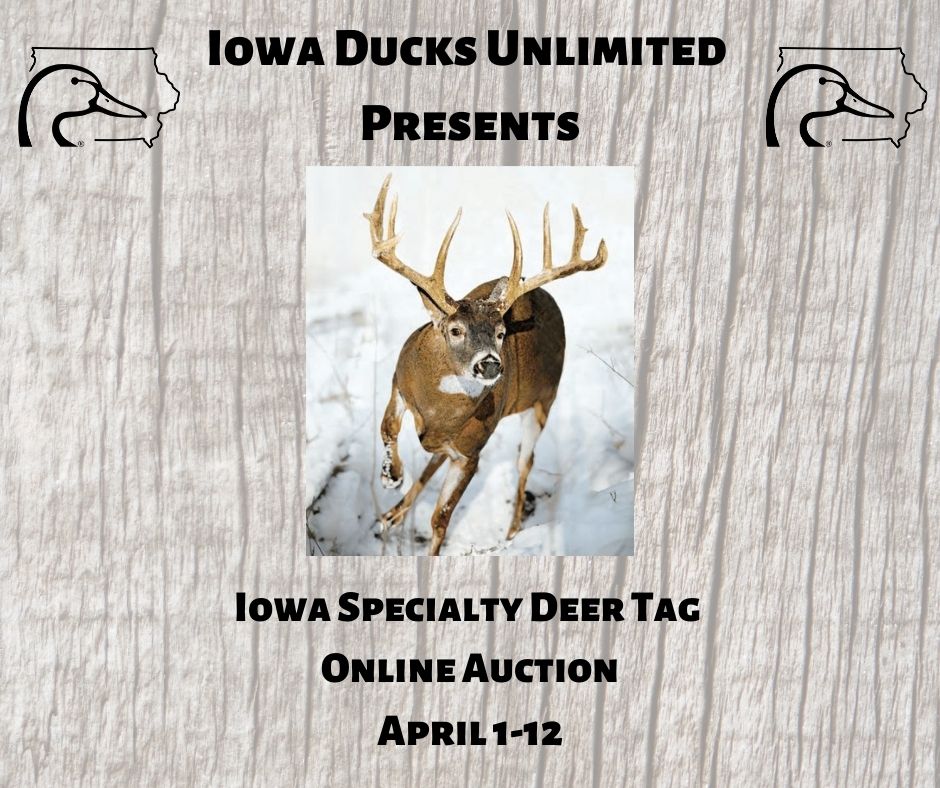 Deer Tag Online Auction Newsletter